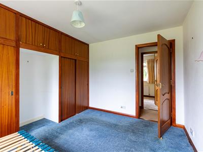 Picture 24